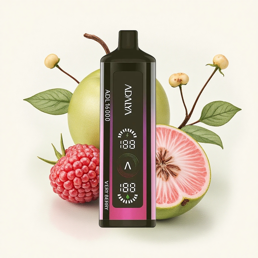 Adalya ADL 16000 PRO Zeer Bes Digital Scherm USB-C