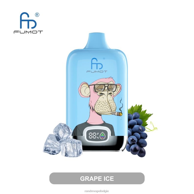 RandM Tornado Belgium | Fumot Original RandM Digital Box 12000 batterij en vloeistofdisplay vape-apparaat gemixte bessen FV0D613