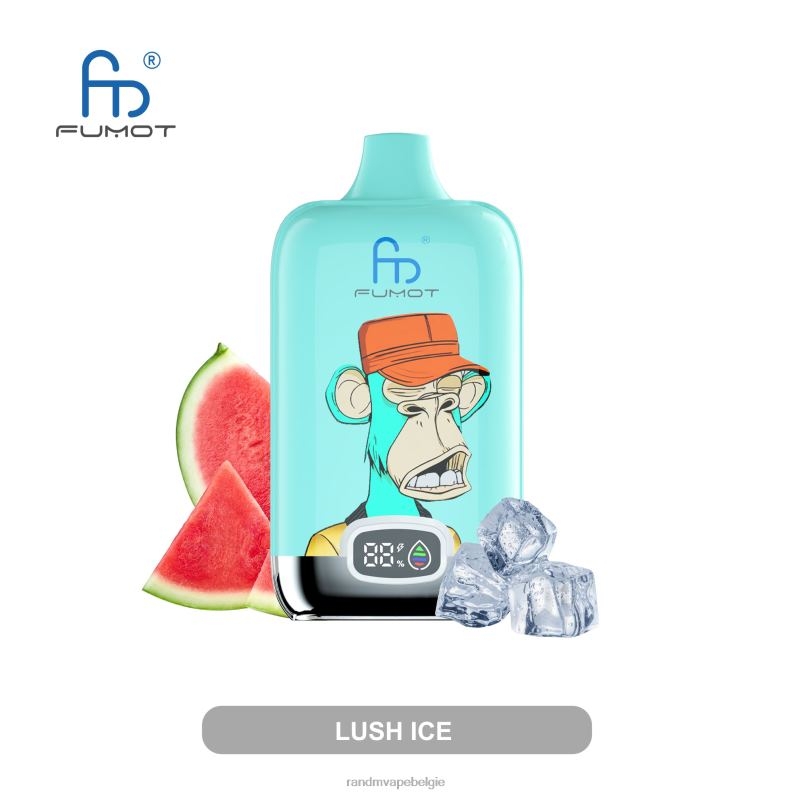 RandM Vape Antwerpen | Fumot Original RandM Digital Box 12000 batterij en vloeistofdisplay vape-apparaat mango op ijs FV0D612